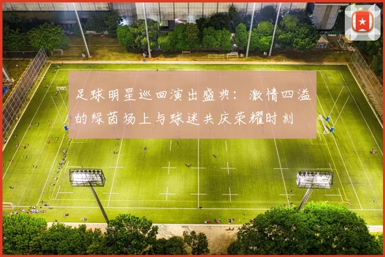 足球明星巡回演出盛典：激情四溢的绿茵场上与球迷共庆荣耀时刻