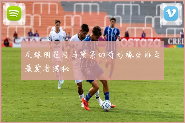 足球明星与马黛茶的奇妙缘分谁是最爱者揭秘