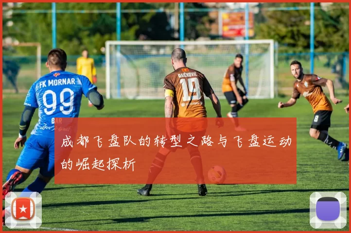 成都飞盘队的转型之路与飞盘运动的崛起探析