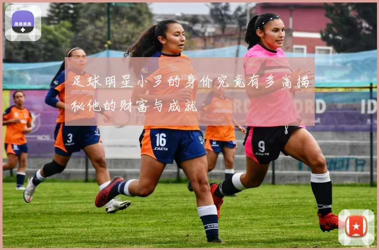 足球明星小罗的身价究竟有多高揭秘他的财富与成就