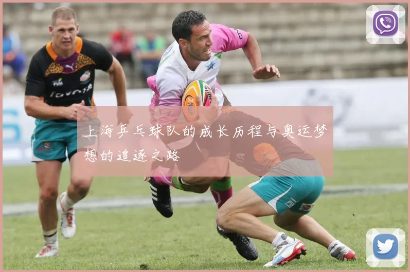 上海乒乓球队的成长历程与奥运梦想的追逐之路