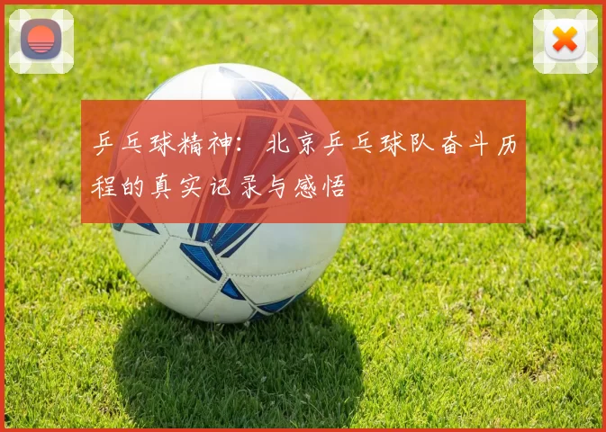乒乓球精神：北京乒乓球队奋斗历程的真实记录与感悟
