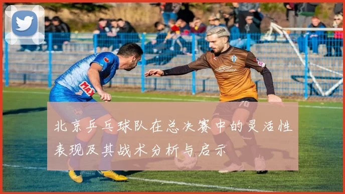 北京乒乓球队在总决赛中的灵活性表现及其战术分析与启示