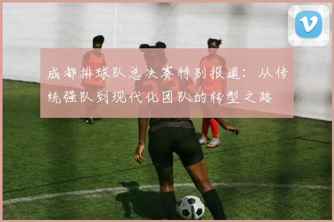 成都排球队总决赛特别报道：从传统强队到现代化团队的转型之路