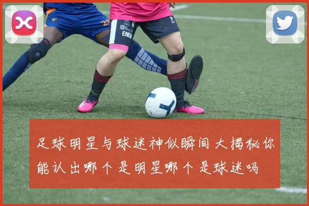 足球明星与球迷神似瞬间大揭秘你能认出哪个是明星哪个是球迷吗