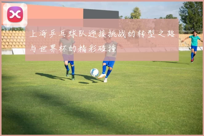 上海乒乓球队迎接挑战的转型之路与世界杯的精彩碰撞