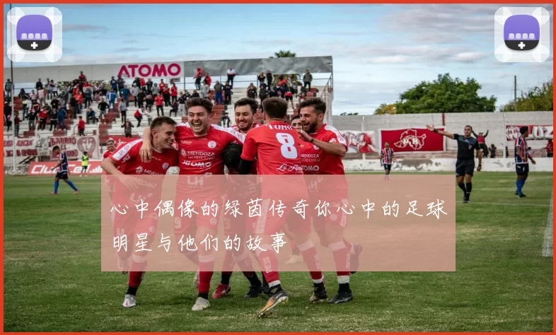 心中偶像的绿茵传奇你心中的足球明星与他们的故事