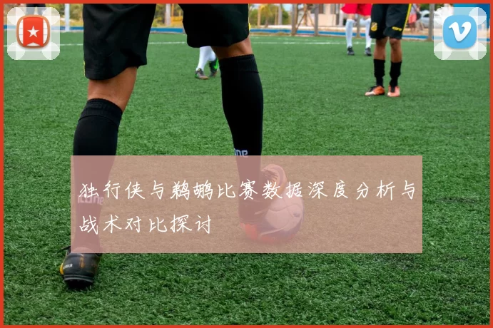 独行侠与鹈鹕比赛数据深度分析与战术对比探讨