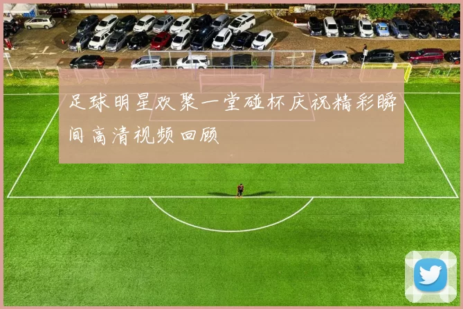足球明星欢聚一堂碰杯庆祝精彩瞬间高清视频回顾