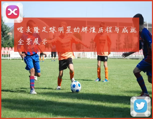 喀麦隆足球明星的辉煌历程与成就全景展示