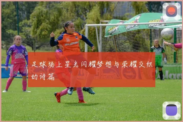 足球场上星光闪耀梦想与荣耀交织的诗篇
