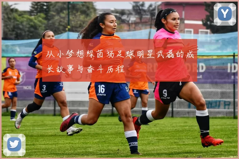 从小梦想绿茵场足球明星武磊的成长故事与奋斗历程