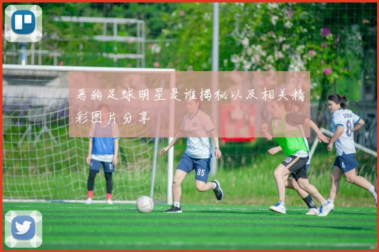 恶狗足球明星是谁揭秘以及相关精彩图片分享