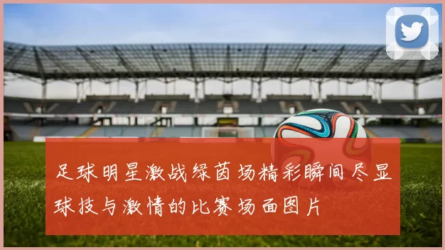 足球明星激战绿茵场精彩瞬间尽显球技与激情的比赛场面图片