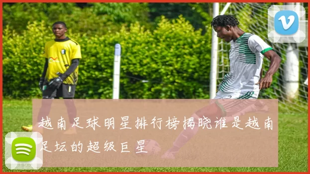 越南足球明星排行榜揭晓谁是越南足坛的超级巨星