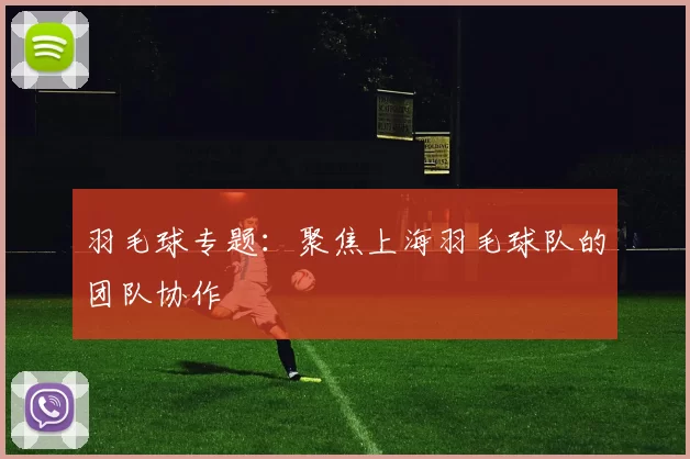 羽毛球专题：聚焦上海羽毛球队的团队协作