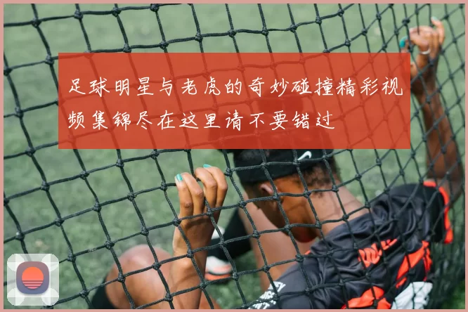 足球明星与老虎的奇妙碰撞精彩视频集锦尽在这里请不要错过