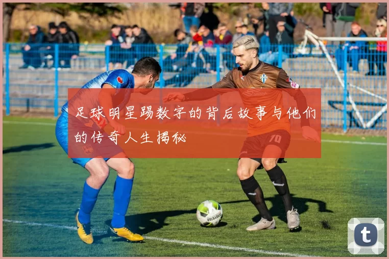 足球明星踢数字的背后故事与他们的传奇人生揭秘