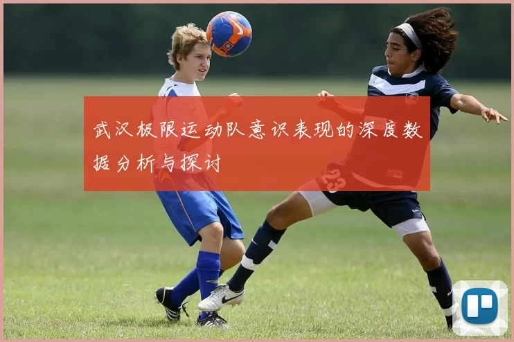 武汉极限运动队意识表现的深度数据分析与探讨