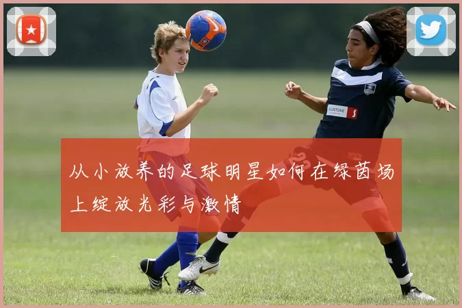 从小放养的足球明星如何在绿茵场上绽放光彩与激情